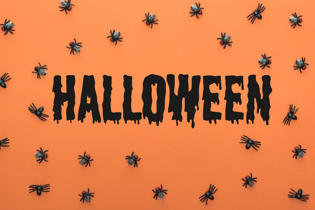 vista superior de arañas aterradoras sobre fondo naranja con ilustración de Halloween
 - Foto, imagen