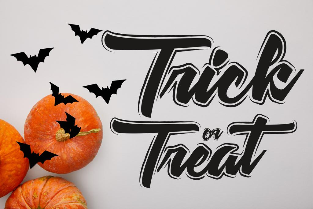 vista superior de la calabaza sobre fondo blanco con truco o tratar ilustración, decoración de Halloween
 - Foto, imagen
