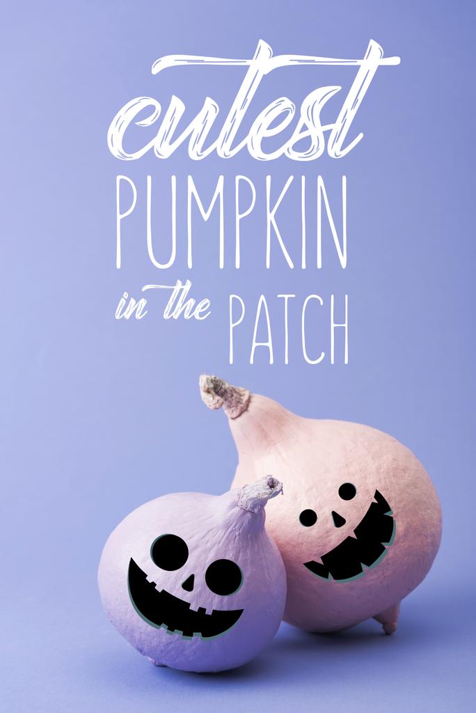 pastel colorful painted pumpkins on violet background with cutest pumpkin in the patch illustration - Photo, Image