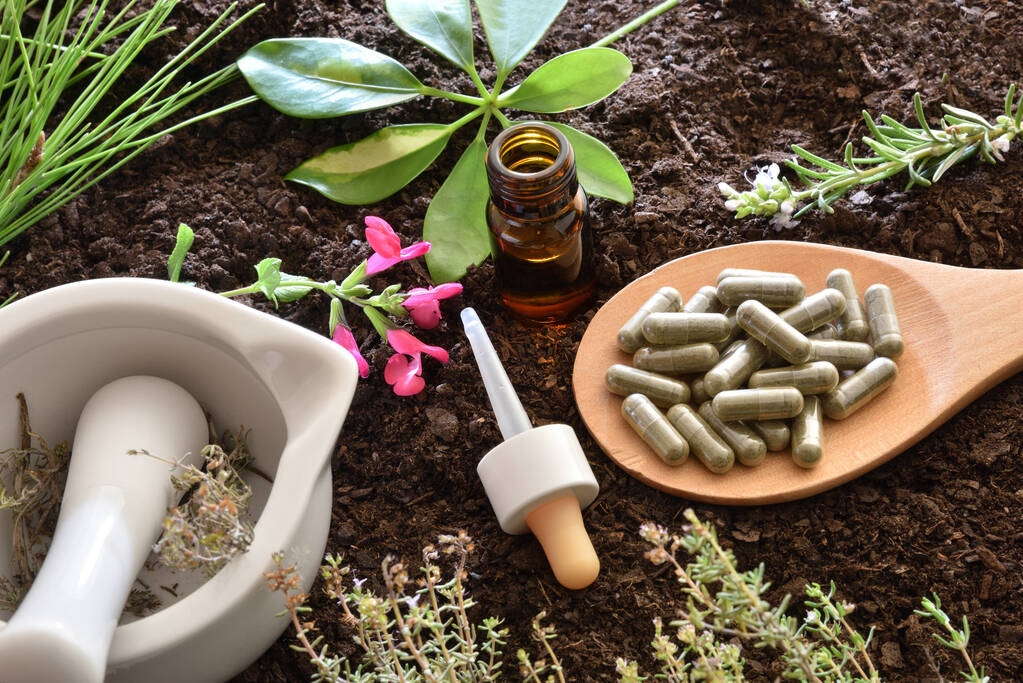 Preparación de la medicina vegetal natural con elementos en el suelo
 - Foto, imagen