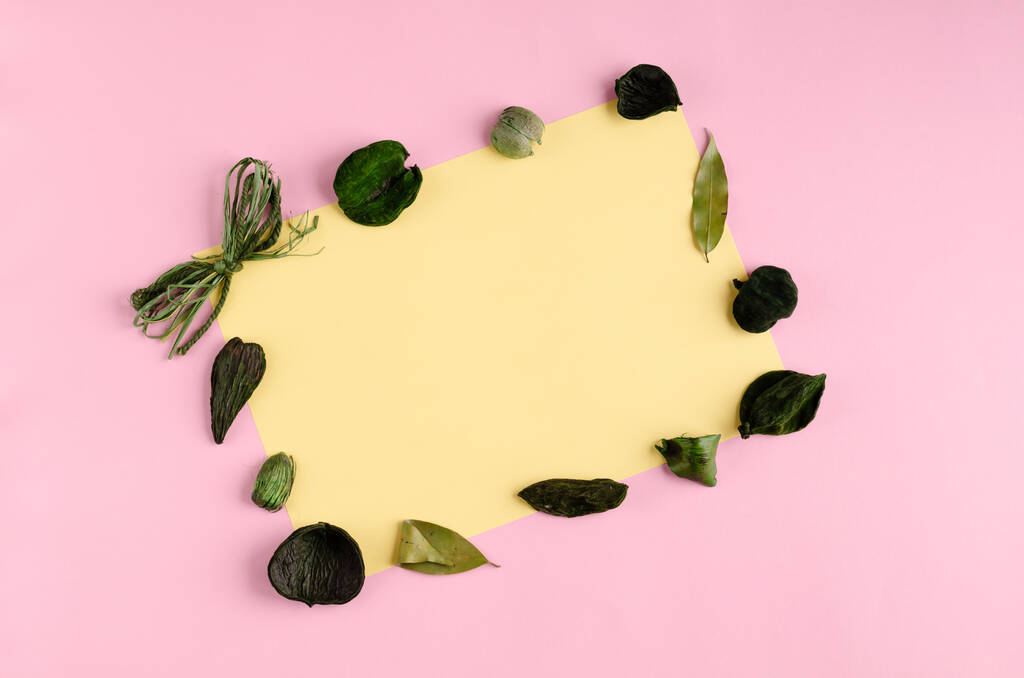 Dried foliage composition on pink background. Flat lay. - Photo, Image