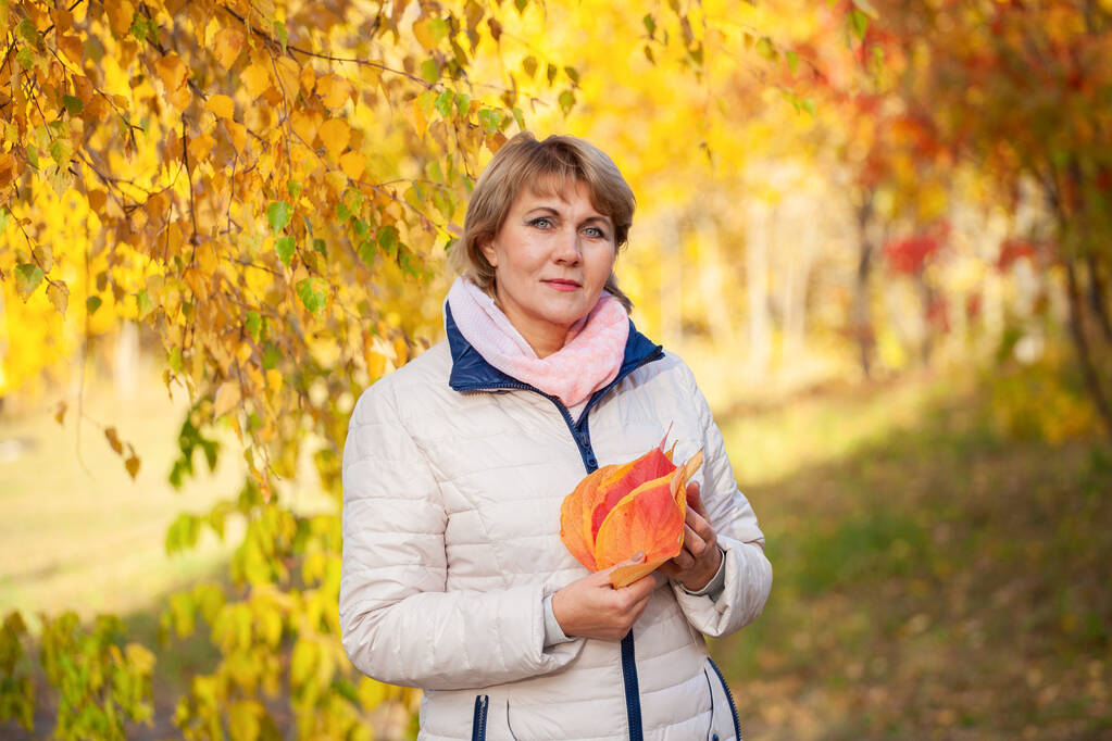 Γυναίκα με φύλλα το φθινόπωρο Πάρκο σε φόντο κίτρινο β - Φωτογραφία, εικόνα
