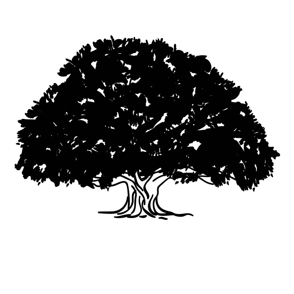 Μαύρο και άσπρο σχέδιο της σιλουέτας ενός δέντρου τέφρας ενός πλατύφυλλου κορώνα. Εικονογράφηση διανύσματος - Διάνυσμα, εικόνα