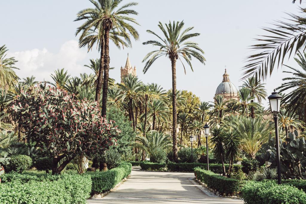 Palermo, Італія - 3 жовтня 2019: зелені пальми в саду villa bonanno біля cattedrale di palermo - Фото, зображення