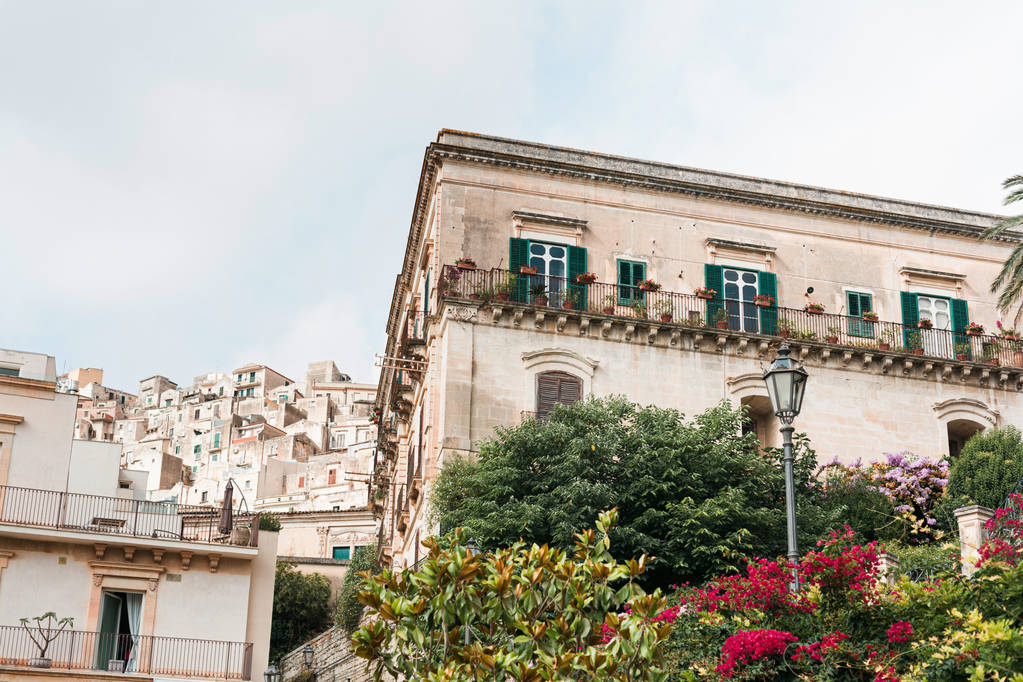 низкоугольный вид на зеленые деревья и растения возле старых зданий в Модике, Италия
  - Фото, изображение