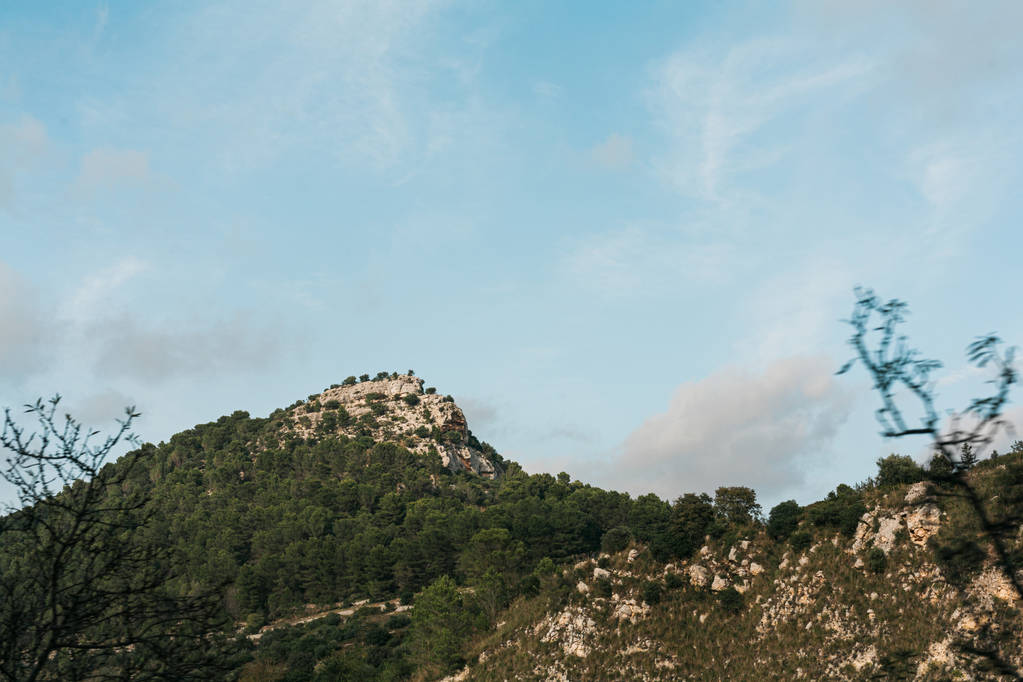 selektivní zaměření zelených stromů na kopci proti modré obloze s mraky v raguse, Itálie  - Fotografie, Obrázek