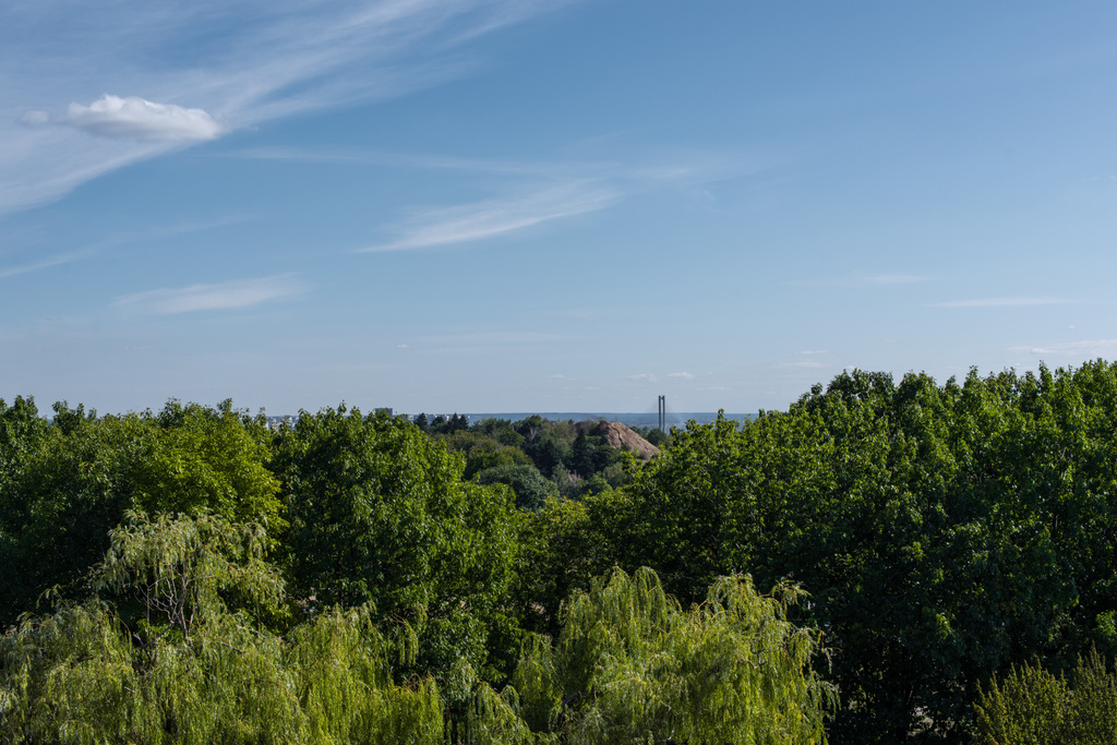 Antenni näkymä puiden vihreä lehtineen ja sininen taivas taustalla
 - Valokuva, kuva