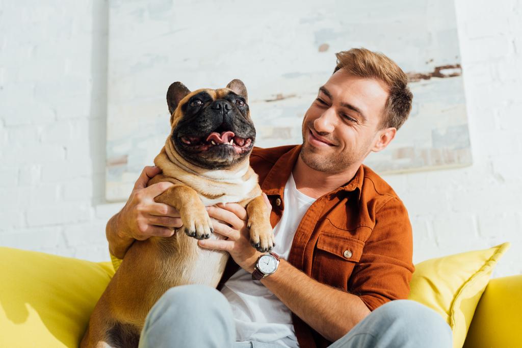 Uomo felice che tiene divertente bulldog francese sul divano in soggiorno
 - Foto, immagini