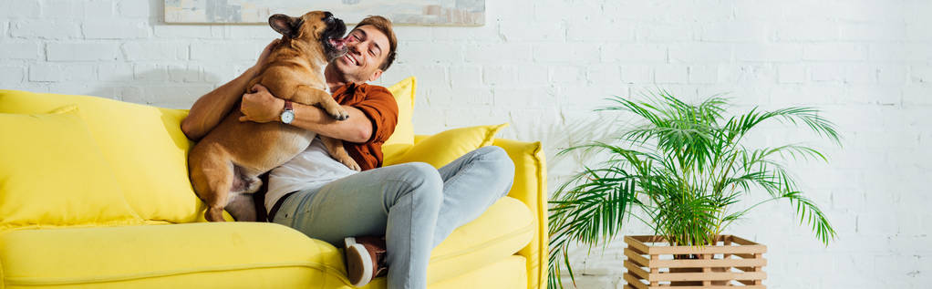 Panoraama laukaus onnellinen mies halaus bulldog sohvalla olohuoneessa
 - Valokuva, kuva