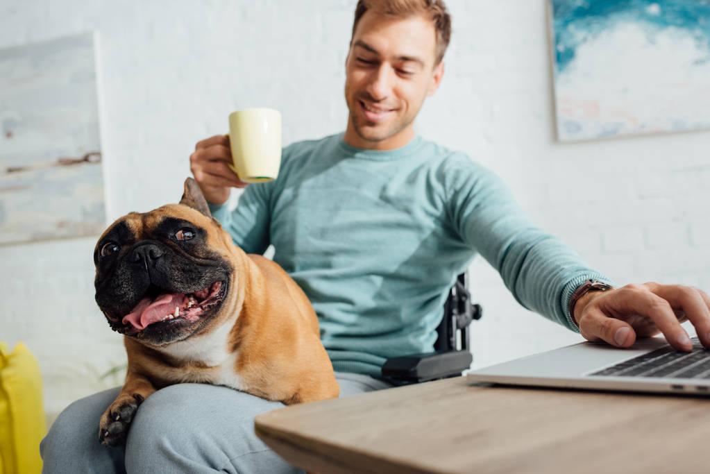 Fogyatékos férfi tartja francia bulldog térden, miközben teát iszik, és dolgozik laptop - Fotó, kép