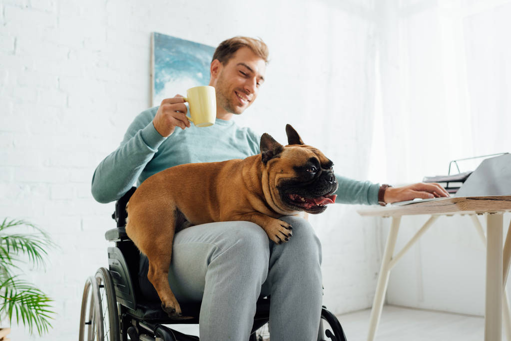 Улыбающийся мужчина в инвалидной коляске держит французский бульдог и чашку во время использования ноутбука
 - Фото, изображение
