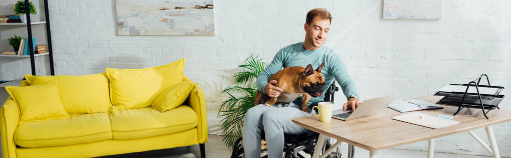 Gehandicapte man met franse bulldog op de knieën en werken aan laptop, panoramisch schot - Foto, afbeelding