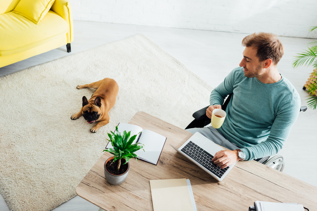 Sorridente uomo disabile con computer portatile e tazza guardando sul bulldog francese in soggiorno
 - Foto, immagini
