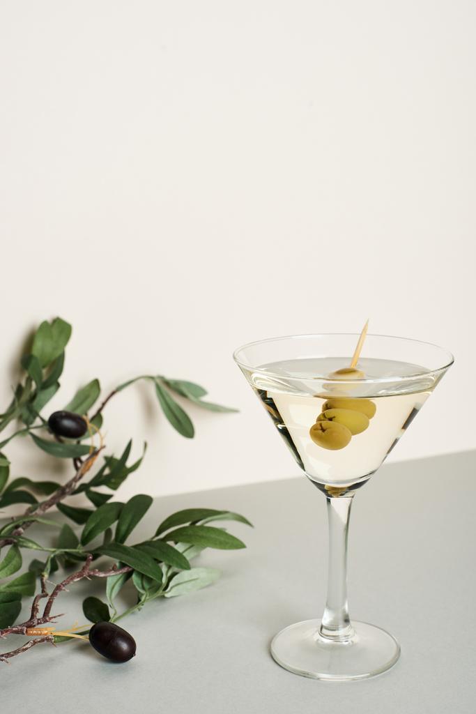Cóctel Martini con rama de olivo sobre fondo blanco
 - Foto, Imagen