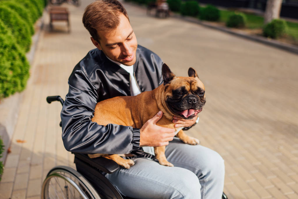 Χαμογελώντας άνθρωπος σε αναπηρική καρέκλα κρατώντας γαλλικά μπουλντόγκ σε αστικό δρόμο - Φωτογραφία, εικόνα