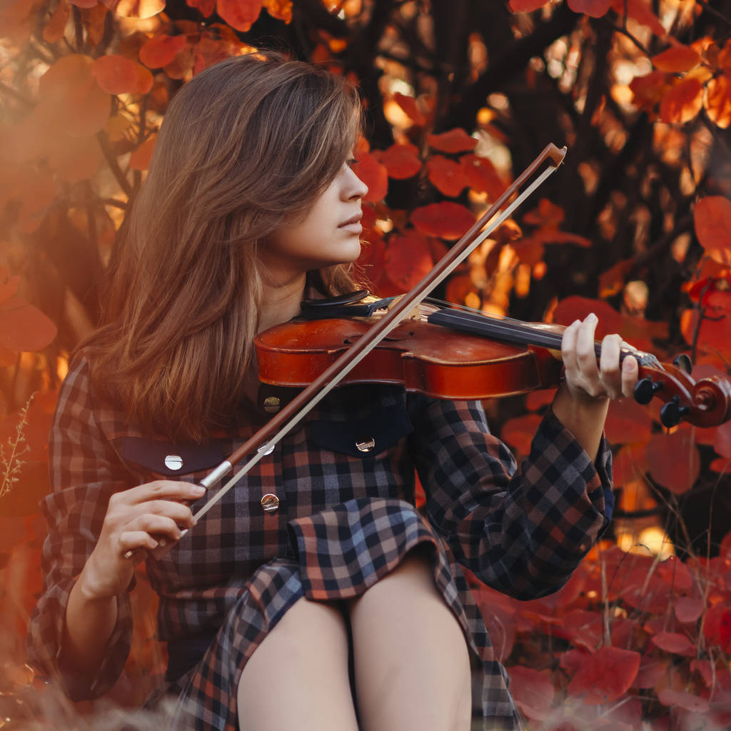 bella giovane donna seduta a terra con un violino su uno sfondo di cespuglio rosso, ragazza in abito che conduce l'arco lungo le corde dello strumento musicale in natura, un concetto di hobby e arte
 - Foto, immagini