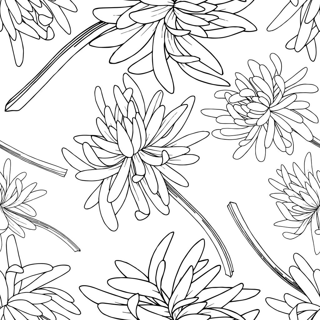 ベクトル菊の花植物の花 野生の春の葉の野生の花を隔離 黒と白の刻まインクアート シームレスな背景パターン ファブリック壁紙 Print ロイヤリティフリーのベクターグラフィック画像