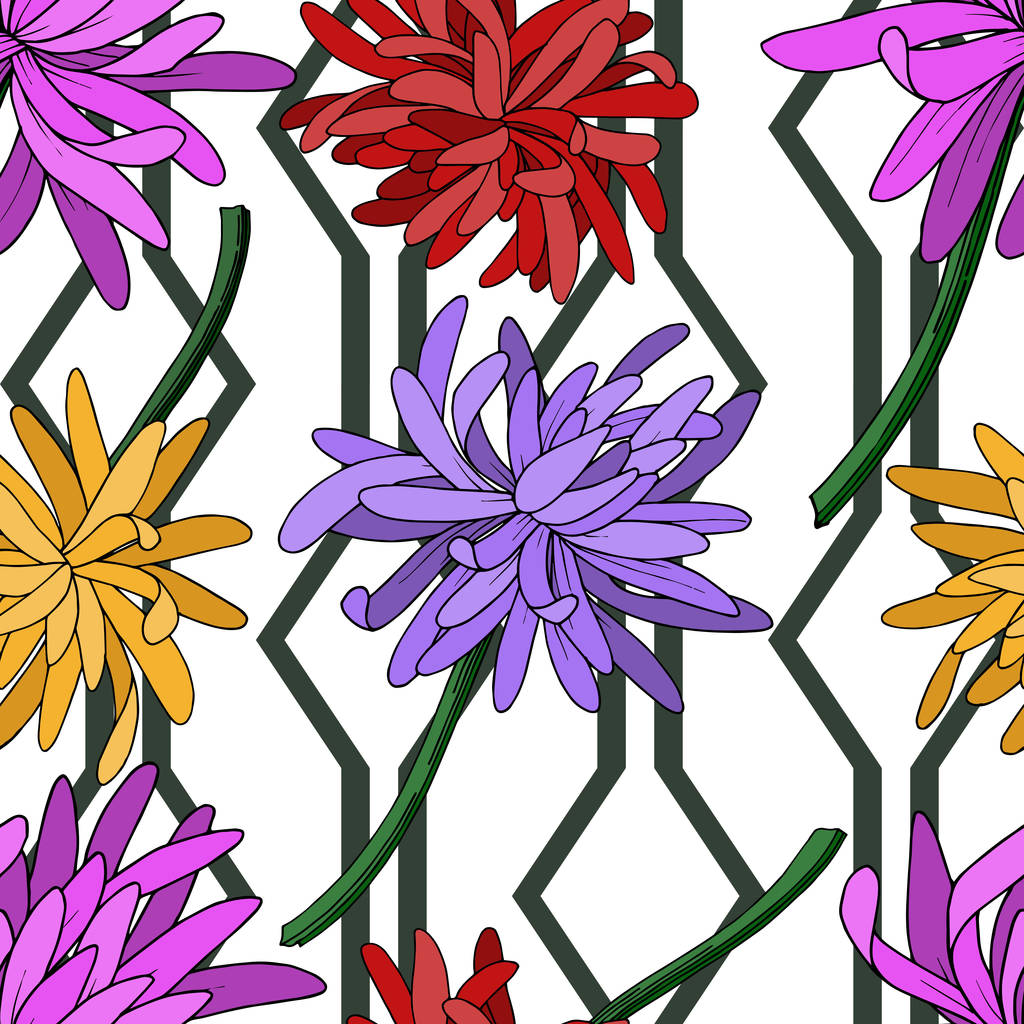 Vector Chrysanthemum fiore botanico floreale. Inchiostro inciso in bianco e nero art. Modello di sfondo senza soluzione di continuità
. - Vettoriali, immagini