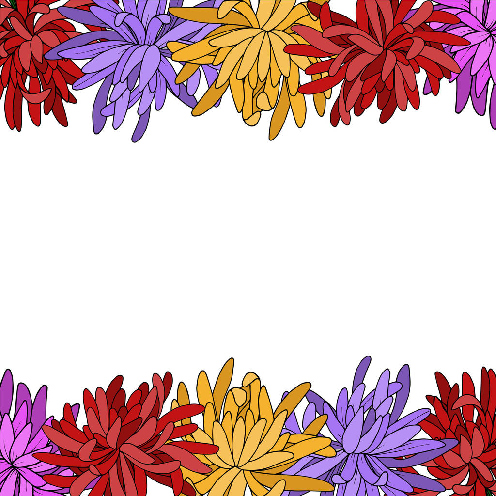 Vector Chrysanthemum ανθικό βοτανικό λουλούδι. Μαύρο και άσπρο χαραγμένο μελάνι τέχνης. Πλαίσιο σύνορα πλατεία στολίδι. - Διάνυσμα, εικόνα