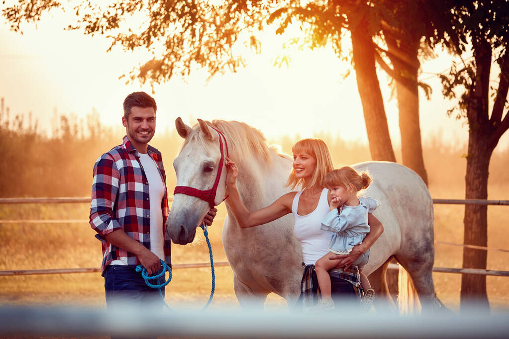 krásný kůň v letní den na farmě s rodinou - Fotografie, Obrázek