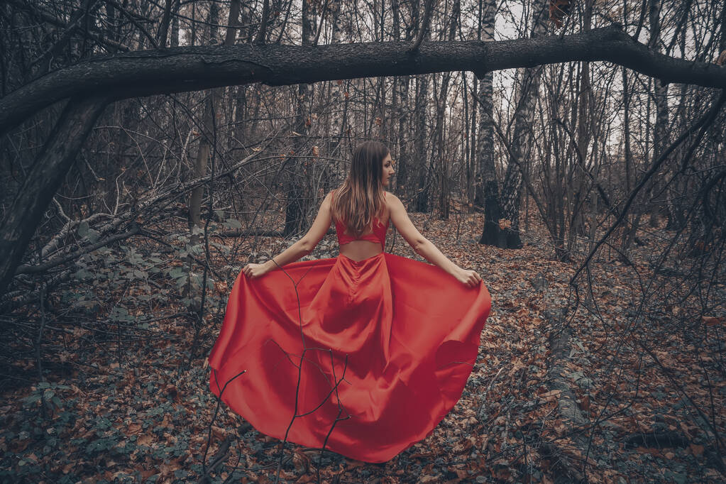 Молодая красивая женщина в длинном красном платье идет по туманному таинственному лесу
 - Фото, изображение