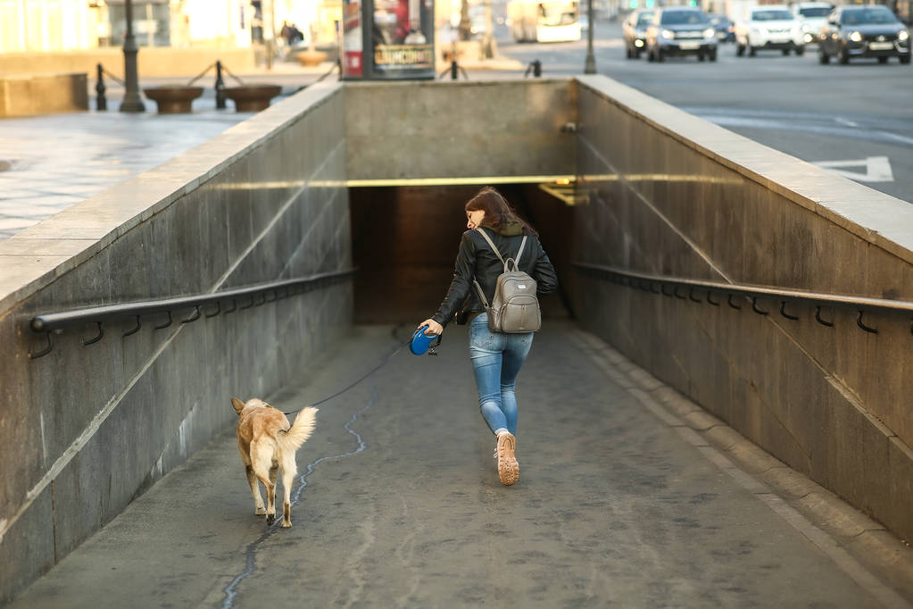 У поспіху жінка з собакою біля входу на станцію метро
 - Фото, зображення