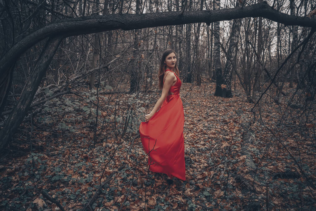 Giovane bella donna nel lungo vestito rosso sta camminando lungo la foresta misteriosa nebbiosa
 - Foto, immagini