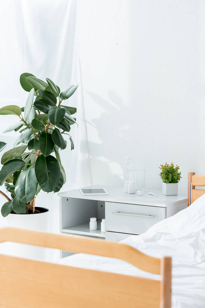Krankenhausstation mit Bett, Pflanzen und Holztisch in Klinik  - Foto, Bild