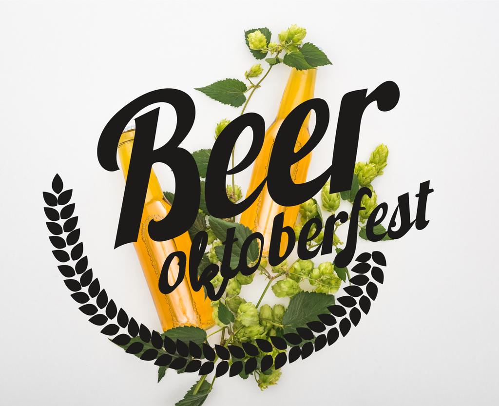 top view of beer in bottles with green hop on white background with beer Oktoberfest illustration - Photo, Image