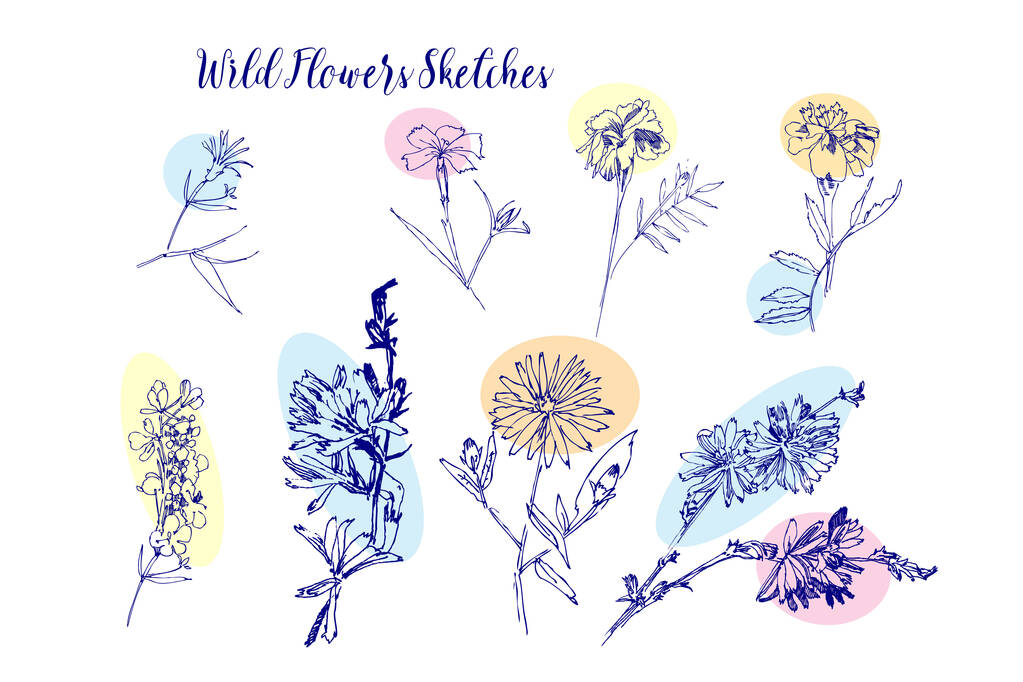 Wild Flowers Sketches. Botanical Hand Drawn Digital Illustration - Vector, Image