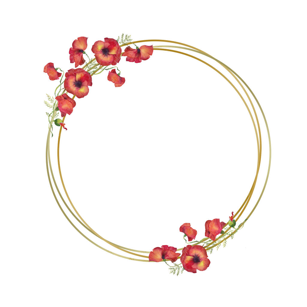 金色の円の枠に赤いポピーと白い背景の水彩画。赤い花のリース - 写真・画像