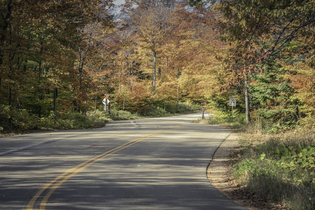 Wisconsin 'deki sonbahar ormanında boş virajlı bir yol. Seçici odak - Fotoğraf, Görsel