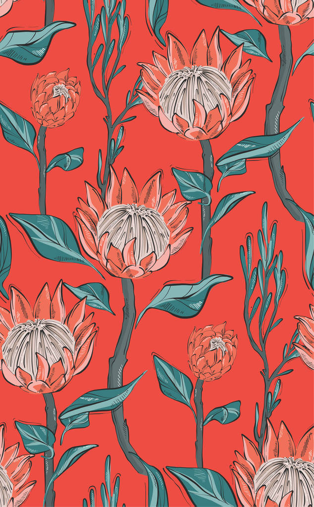 Yaprakları pürüzsüz desenli kırmızı Protea. El çizimi çiçek çizimi. Botanik çizimleri, kusursuz yapraklar. Web sitesi kapağı, kumaş arkaplanı - Vektör, Görsel