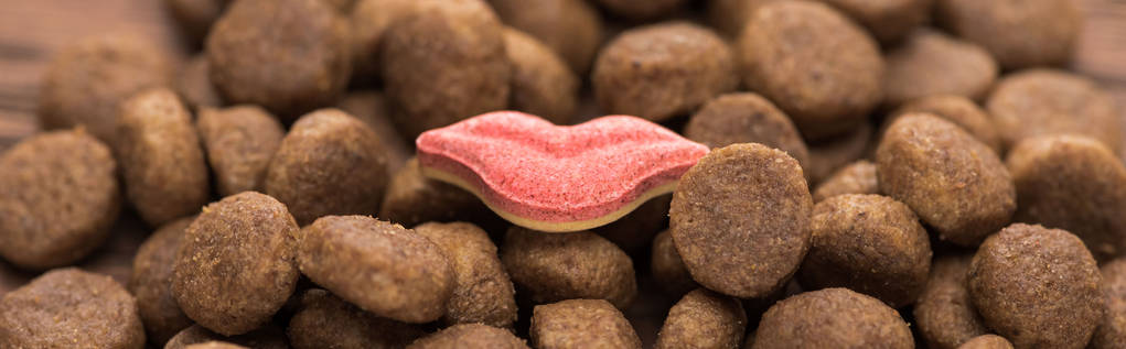 close up view of dry pet food in lips shape, panoramic shot - 写真・画像