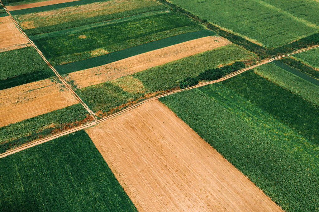 Kaunis maaseutu tilkkutäkki malli viljellyn maiseman
  - Valokuva, kuva