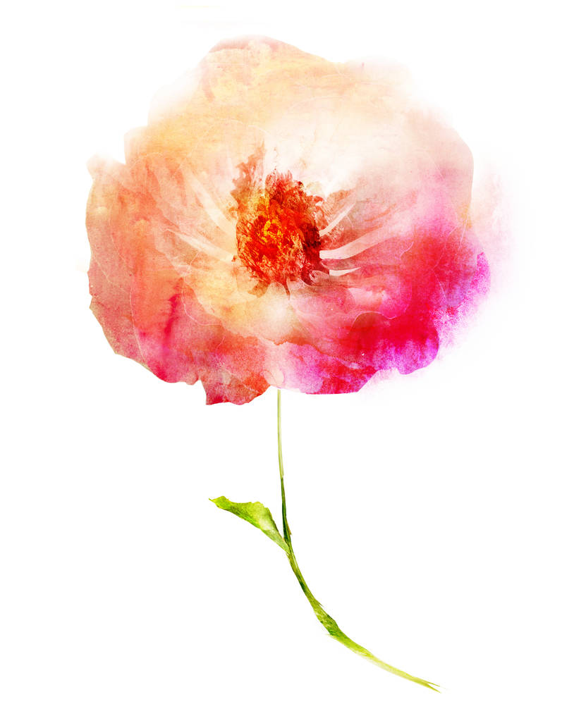 Akvarell virág, elszigetelt fehér háttér - Fotó, kép