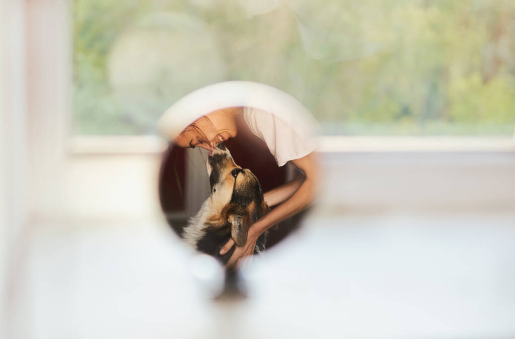 giovane donna felice con il suo cane riflette nello specchio. - Foto, immagini