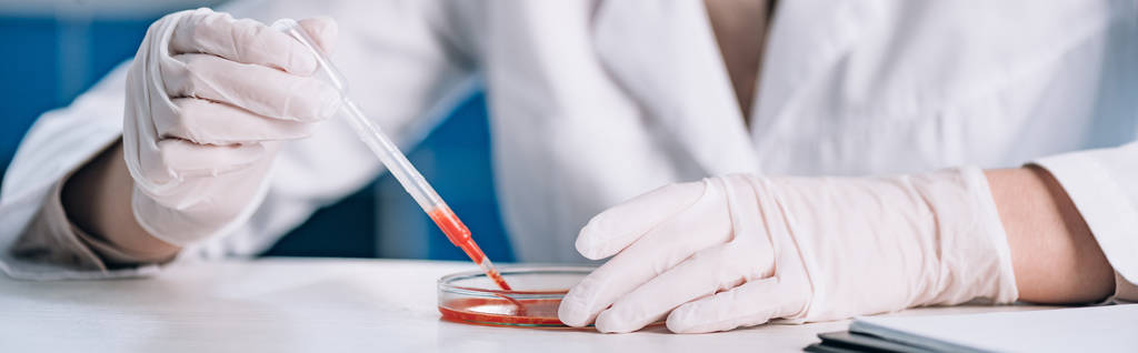 Panoramaaufnahme eines Immunologen, der eine Pipette mit roter Flüssigkeit im Labor hält  - Foto, Bild