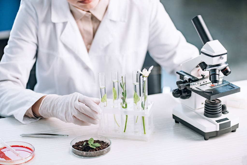 обрезанный вид биохимика рядом с зелеными растениями и цветами в пробирках
  - Фото, изображение