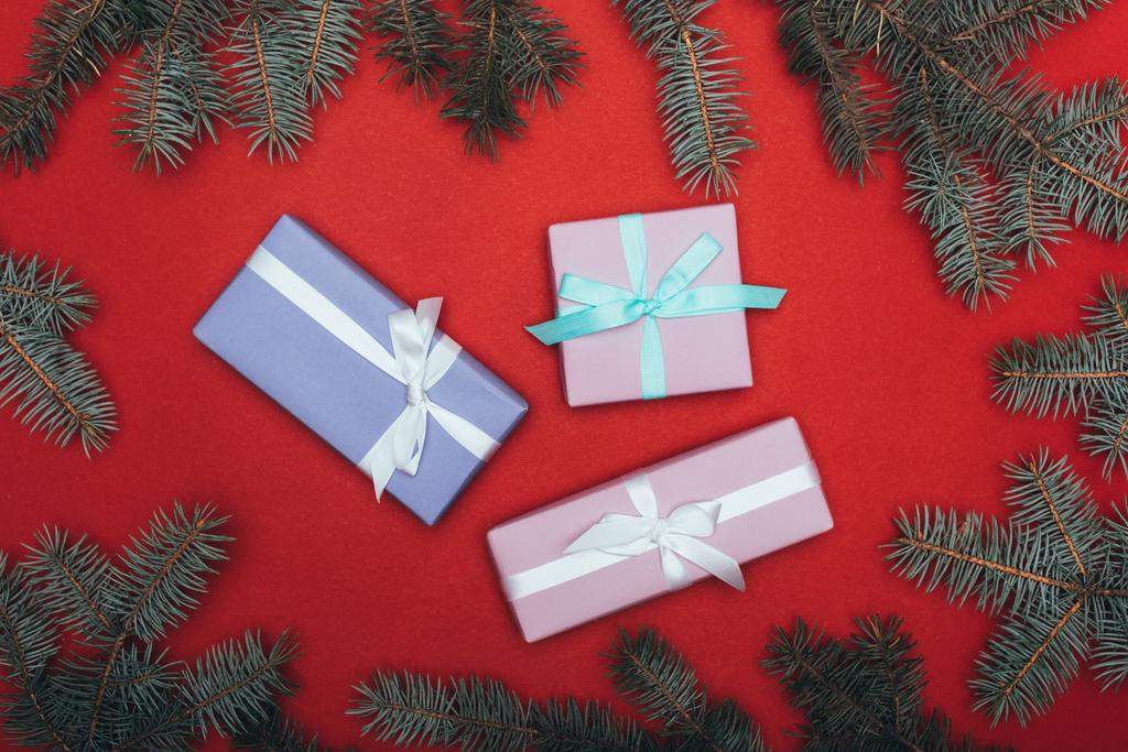 top view karácsonyi ajándékdobozok fenyő ágak piroson - Fotó, kép