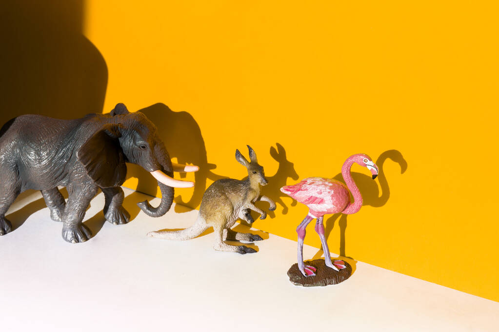 Shadow from the Elephant Flamingo and Kangaroo.figures of a animal - Фото, зображення