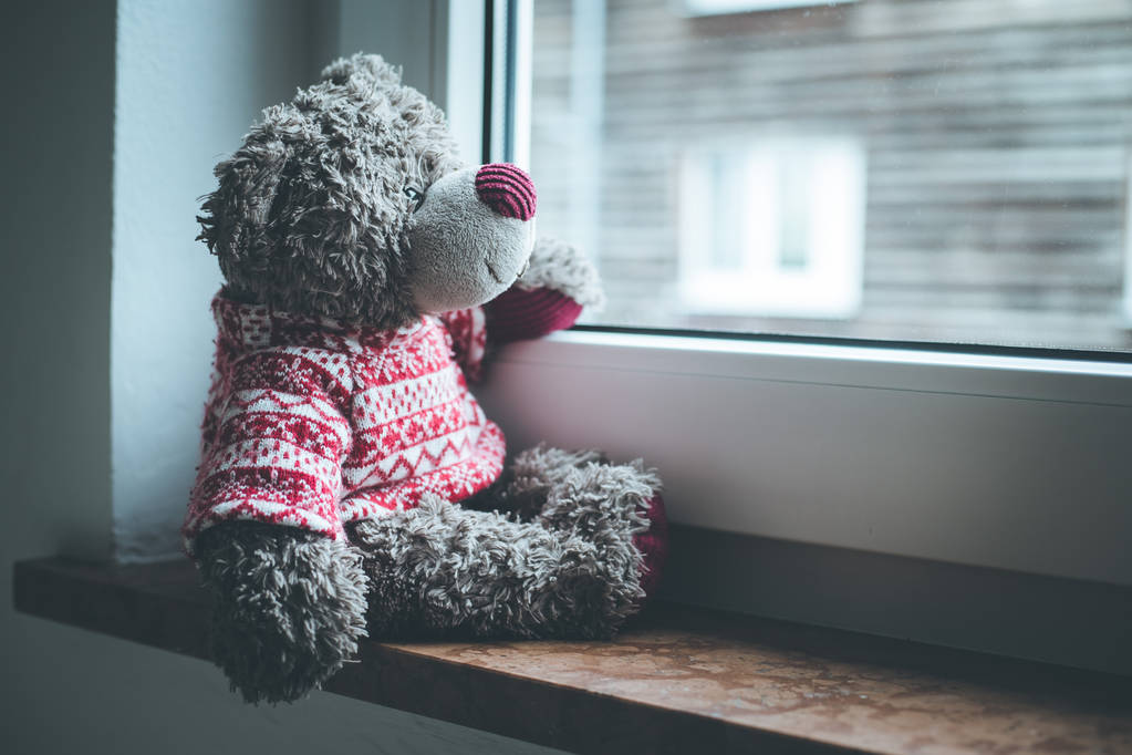 Carino orsacchiotto è seduto sul davanzale della finestra, guardando fuori dalla finestra
 - Foto, immagini