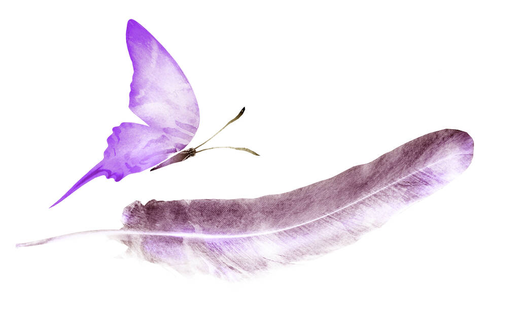 Plumas de acuarela con mariposa, aisladas sobre fondo blanco
 - Foto, Imagen