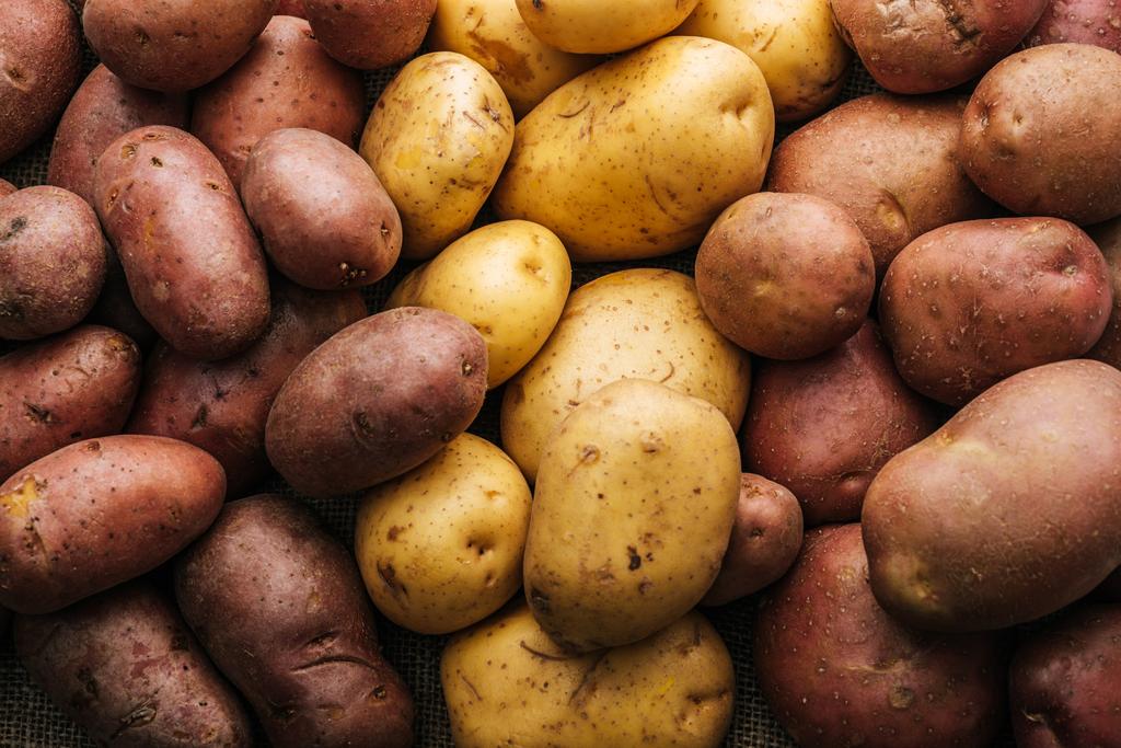 Organiczne surowe ziemniaki na białym tle - Zdjęcie, obraz