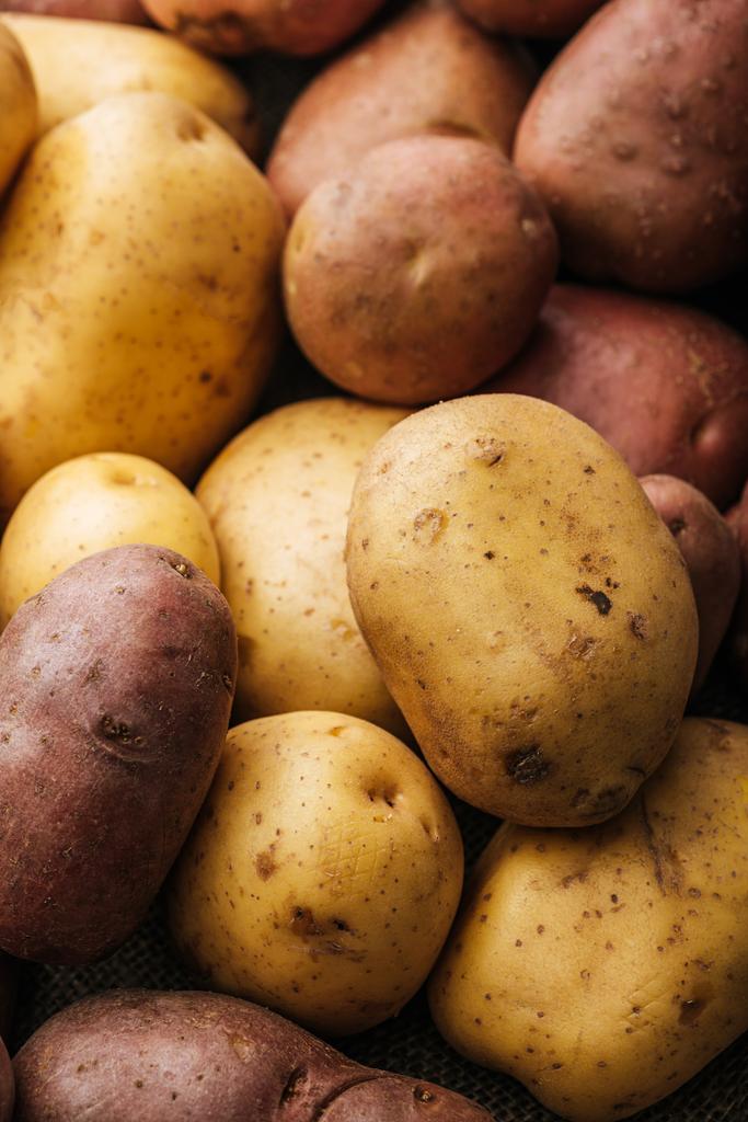 organic raw potatoes on white background - Photo, Image