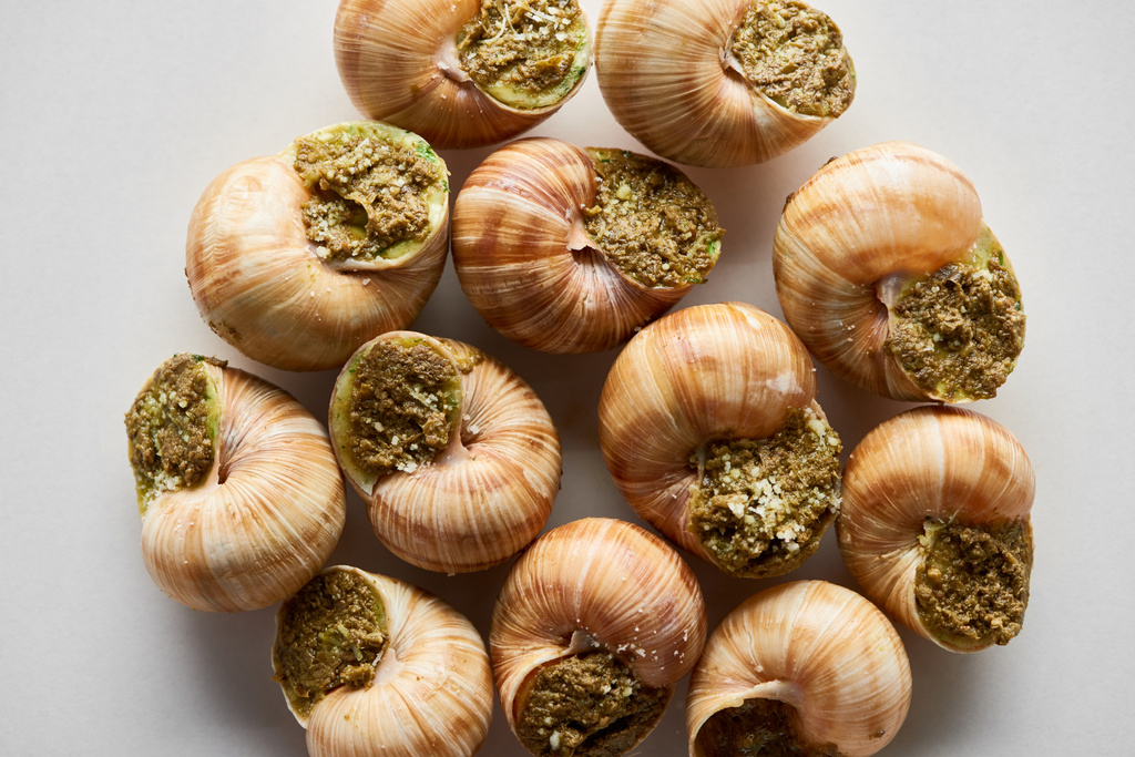 Draufsicht auf köstliche gekochte Escargots auf weißem Hintergrund - Foto, Bild