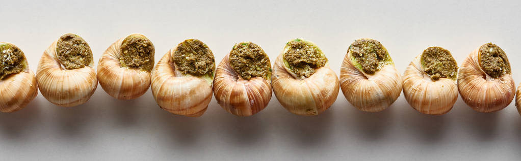 vista superior de deliciosos escargots cozidos em linha no fundo branco, tiro panorâmico
 - Foto, Imagem