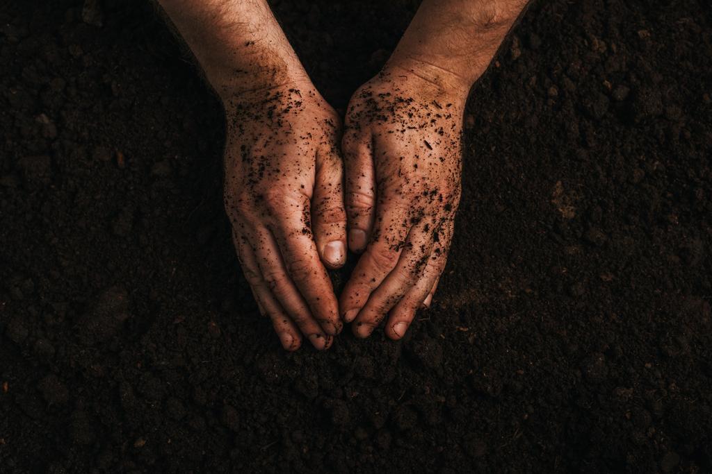 partial view of dirty farmer hands on ground - Photo, Image