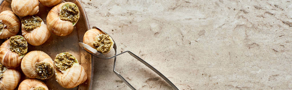 top view of delicious cooked escargots on plate with tweezers on stone background, panoramic shot - Photo, Image