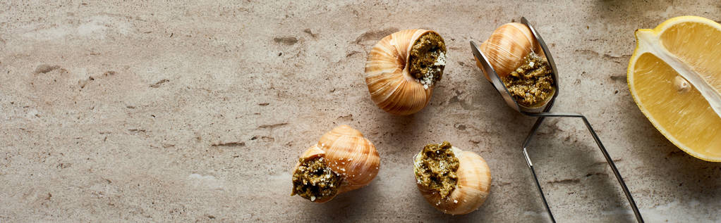 vista superior de deliciosas escargots cocidas con limón y pinzas sobre fondo de piedra, plano panorámico
 - Foto, Imagen